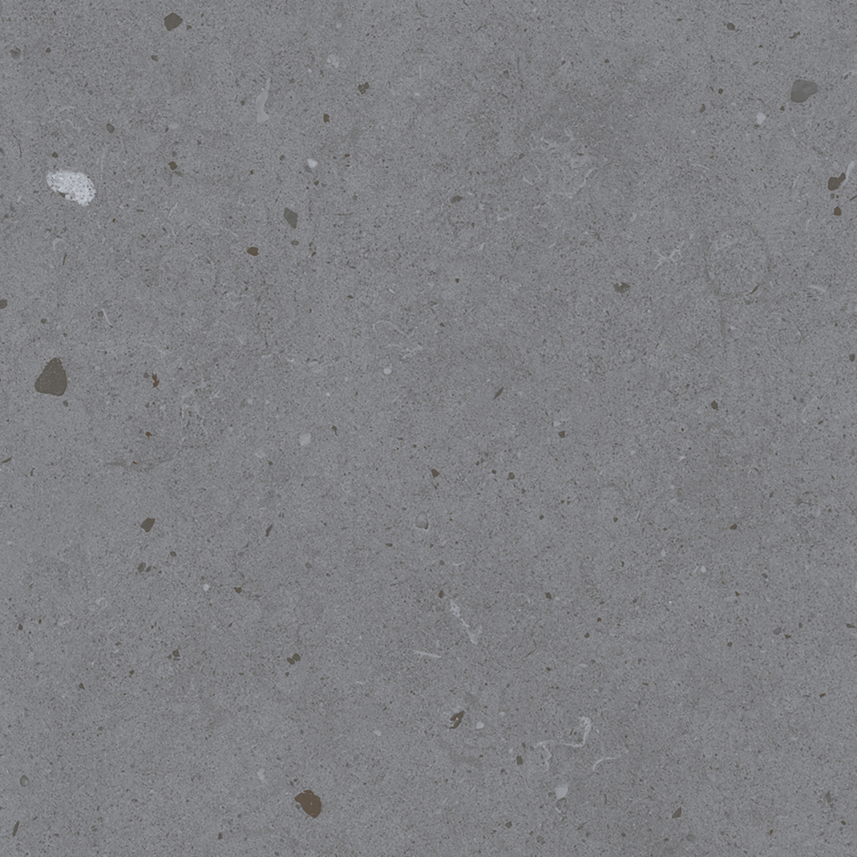 LYON GREY