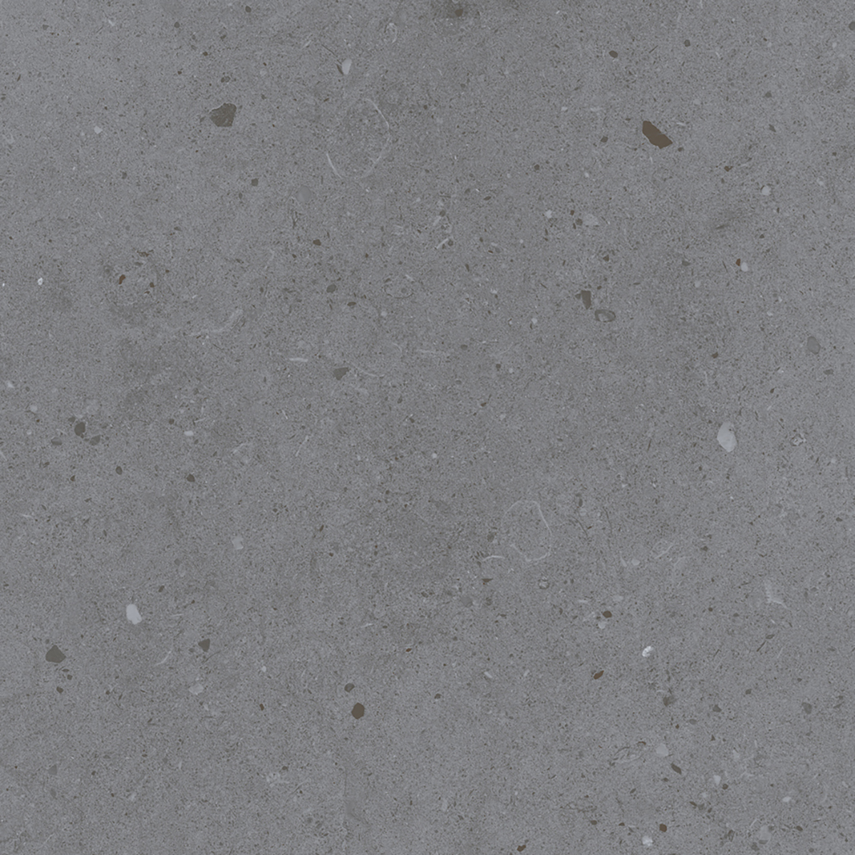 LYON GREY