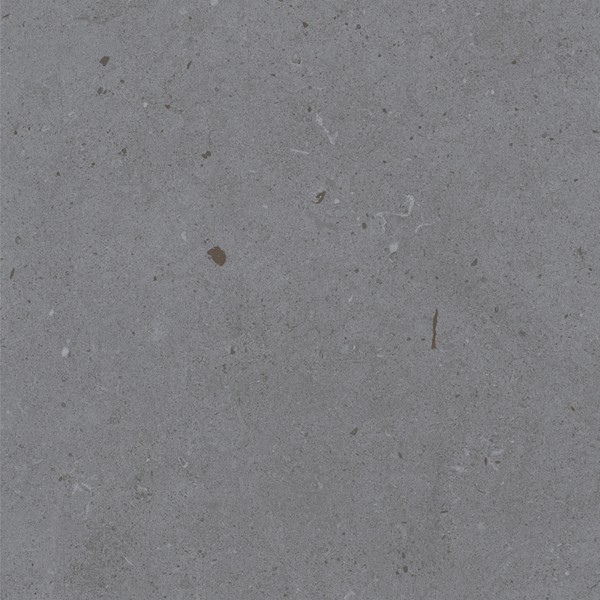 LYON GREY