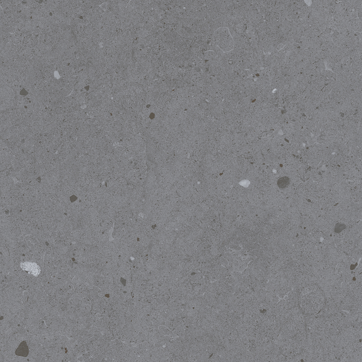 LYON GREY