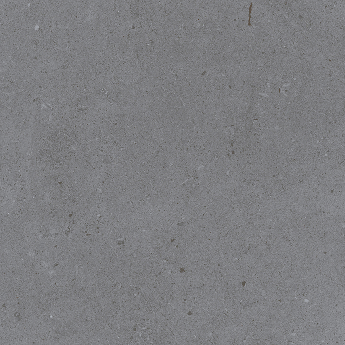 LYON GREY