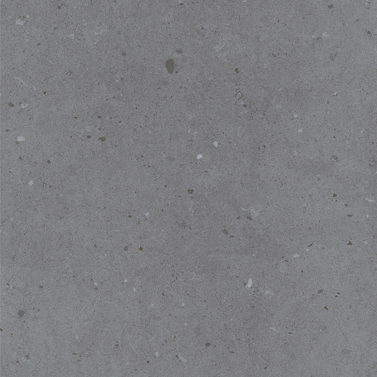LYON GREY