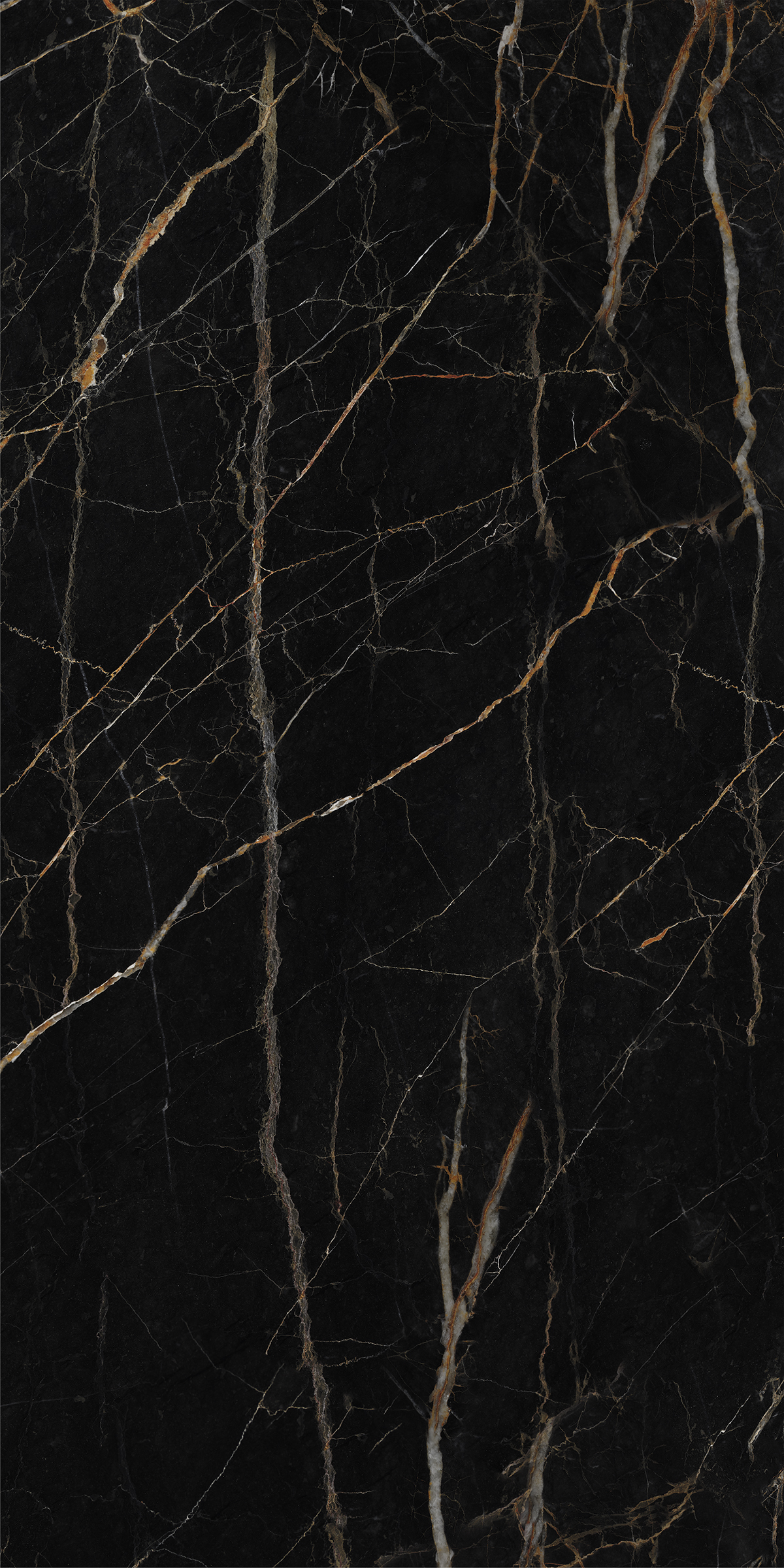 LEXO BLACK