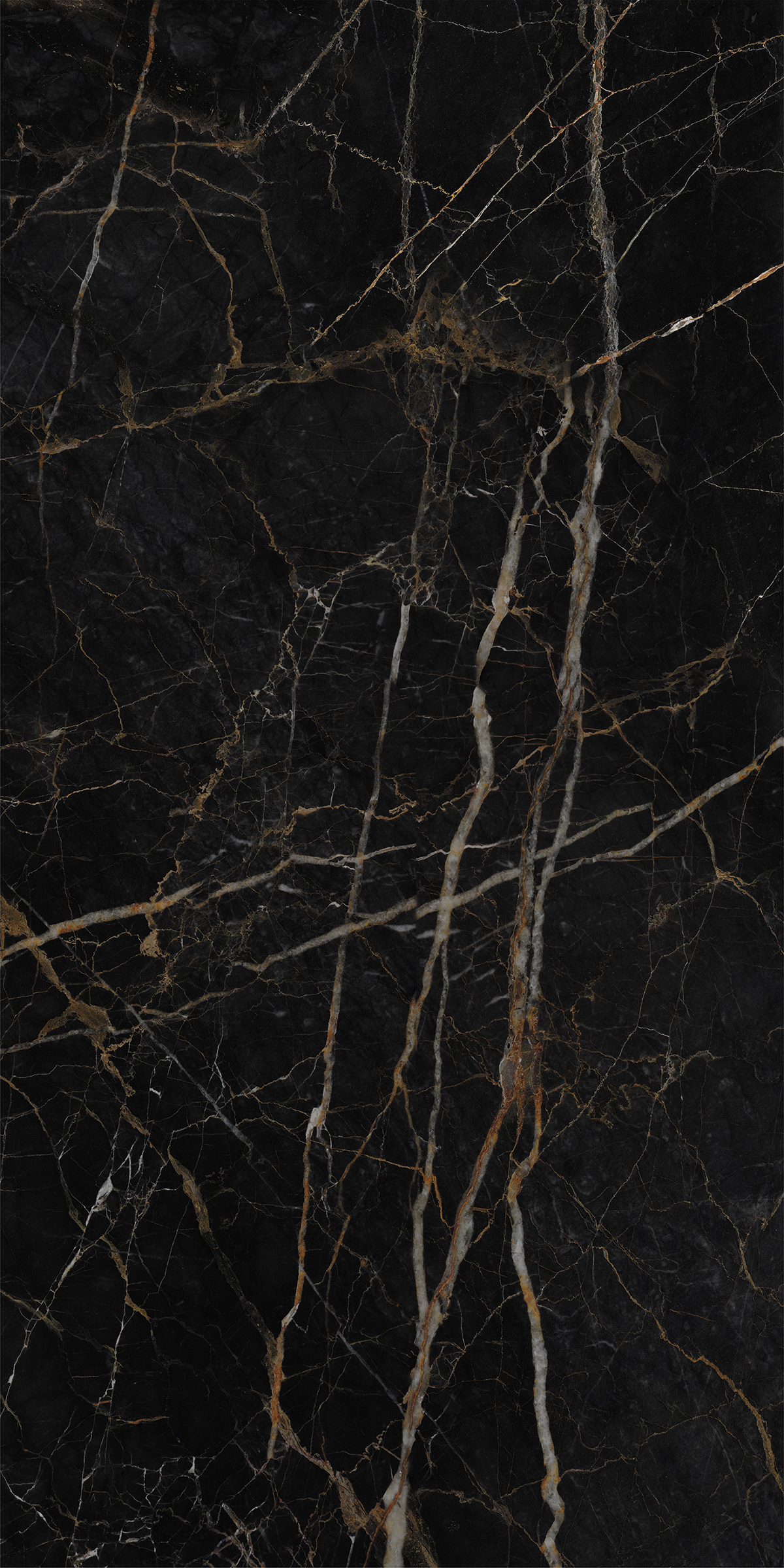 LEXO BLACK