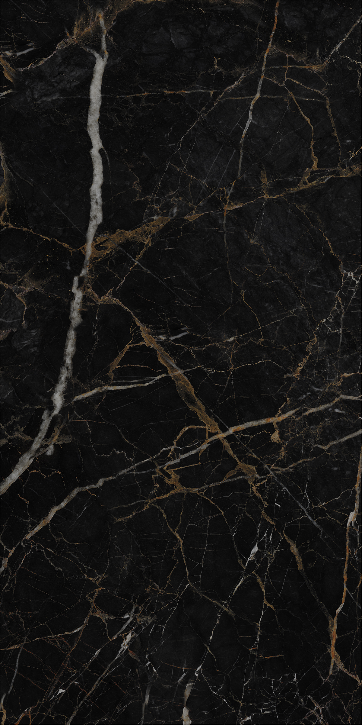 LEXO BLACK