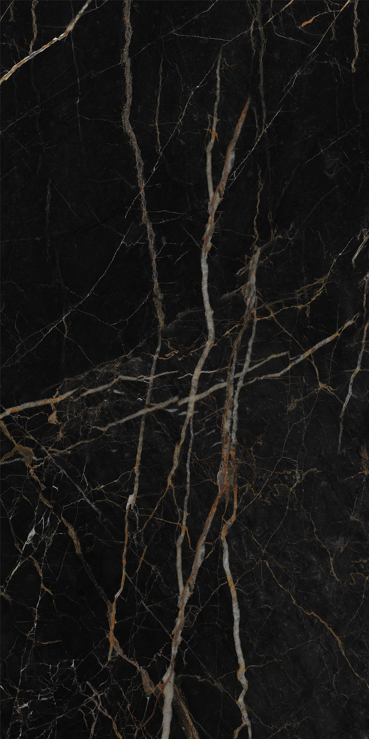 LEXO BLACK