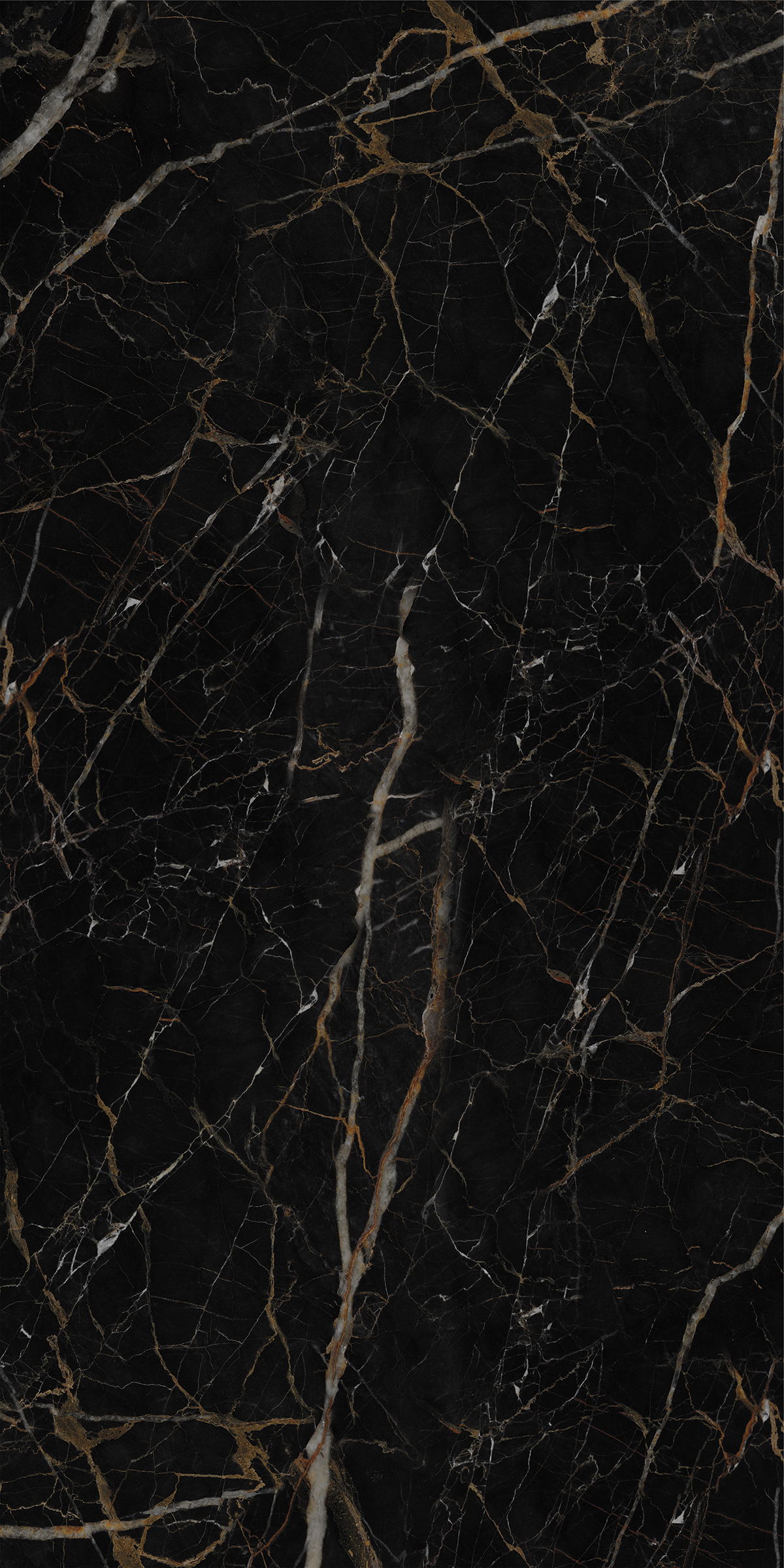 LEXO BLACK