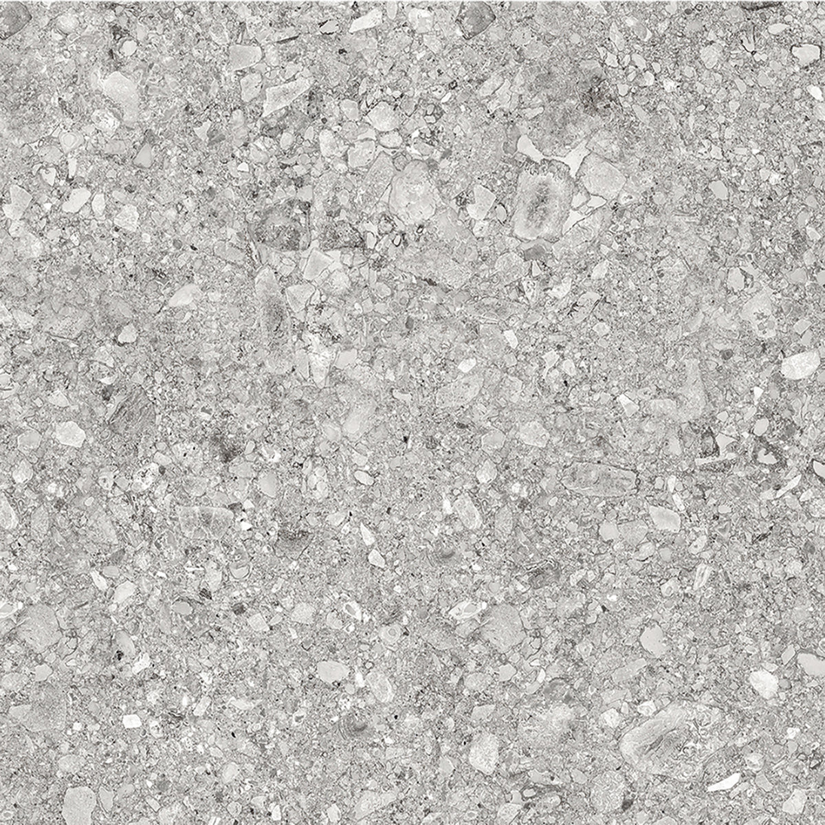 MONTANA GRIS