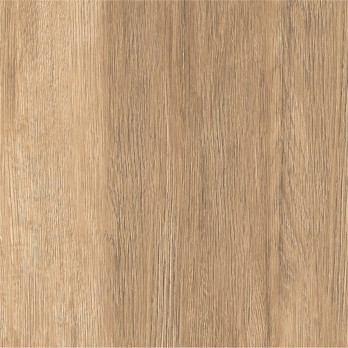 PINE WOOD BEIGE