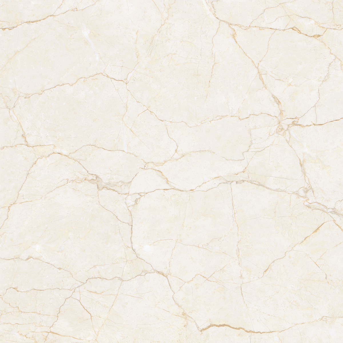 ARIES CREMA