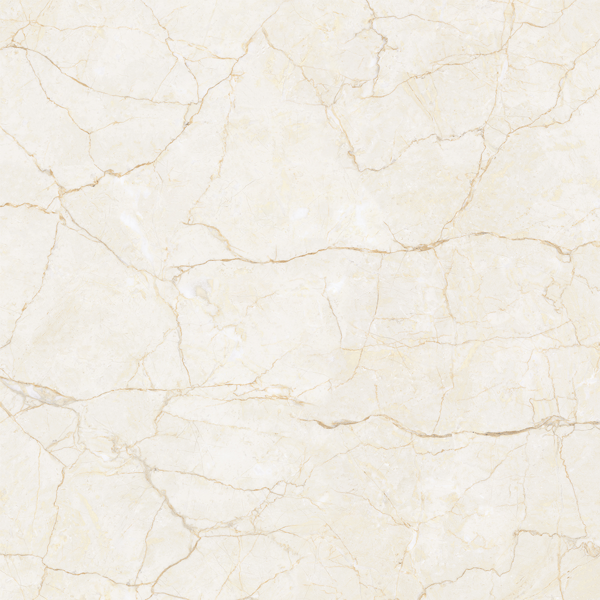 ARIES CREMA