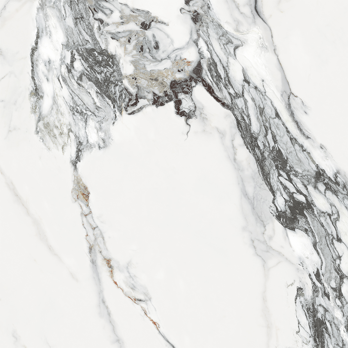 BIANCO VIOLA