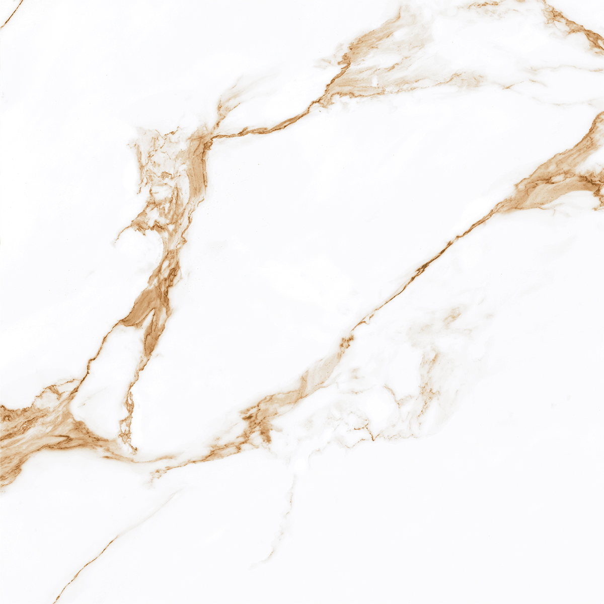 CAPRICORN GOLD
