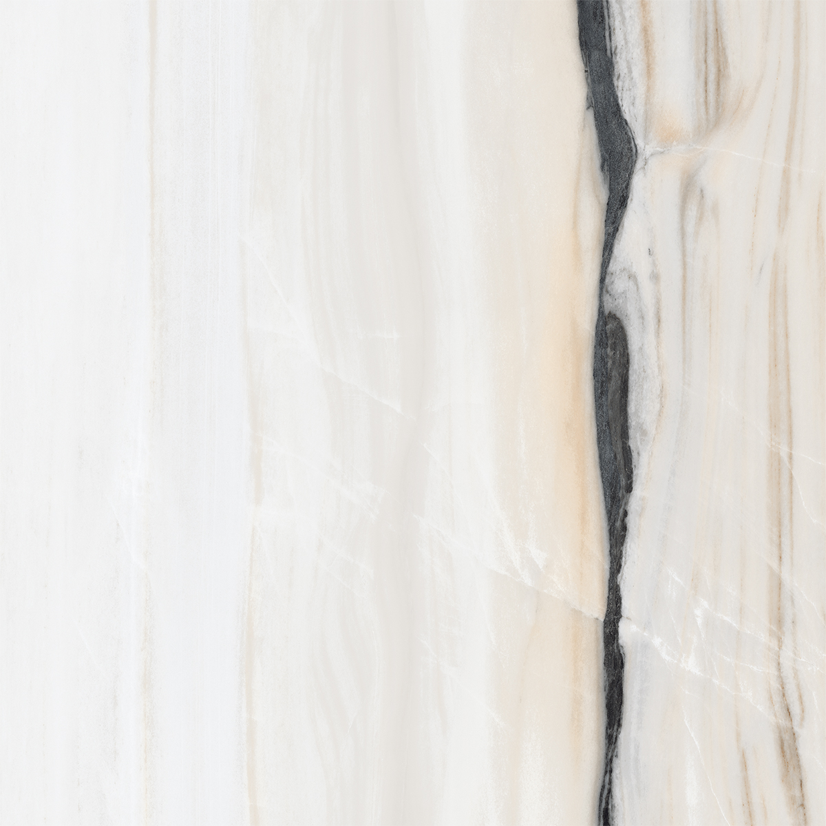 COLORADO WHITE