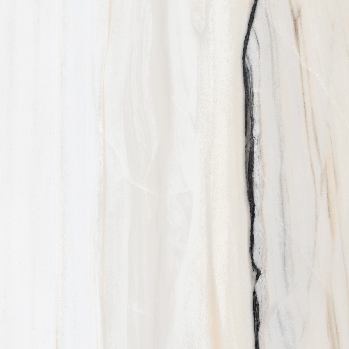 COLORADO WHITE