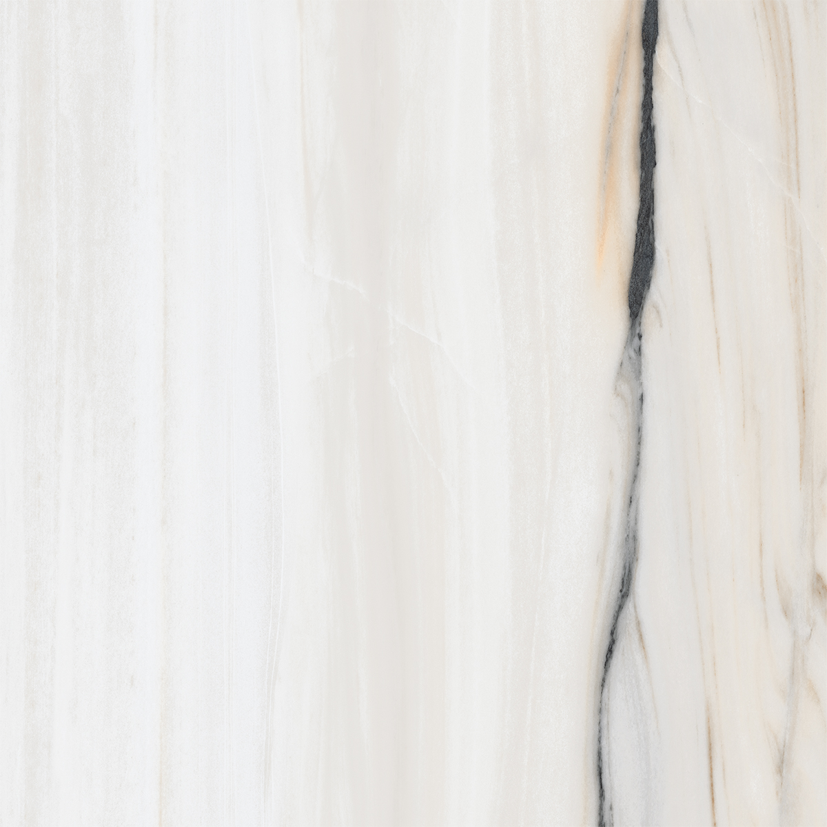 COLORADO WHITE