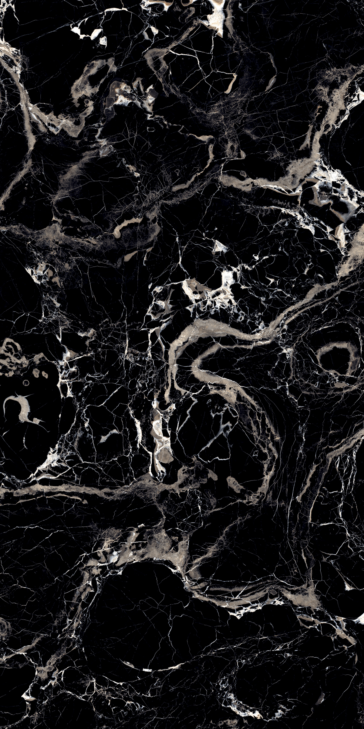 MYSTERIOUS BLACK