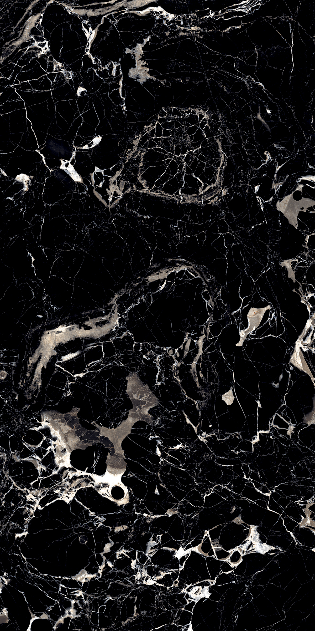 MYSTERIOUS BLACK