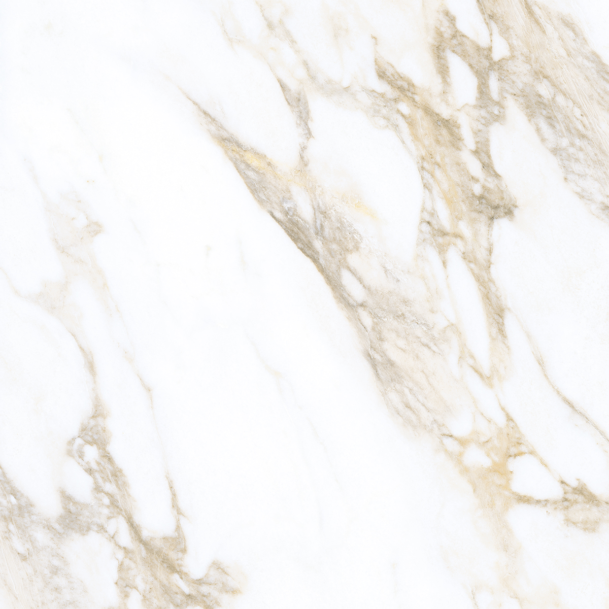 LIVIDE GOLD