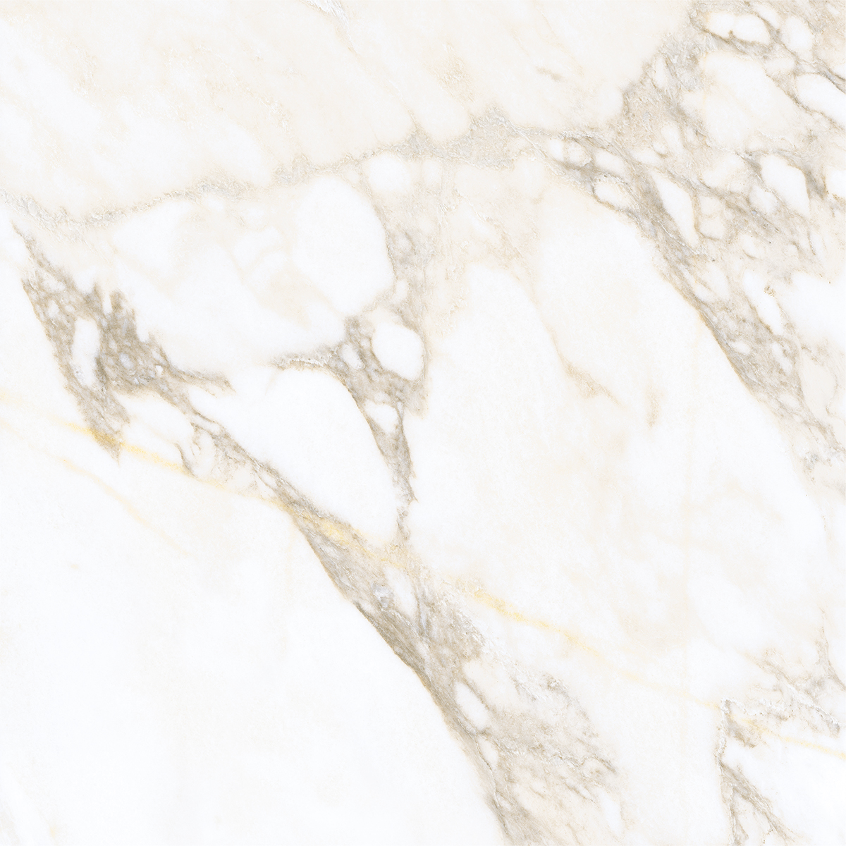 LIVIDE GOLD