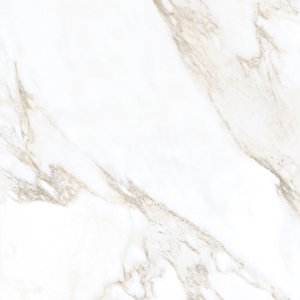 LIVIDE GOLD