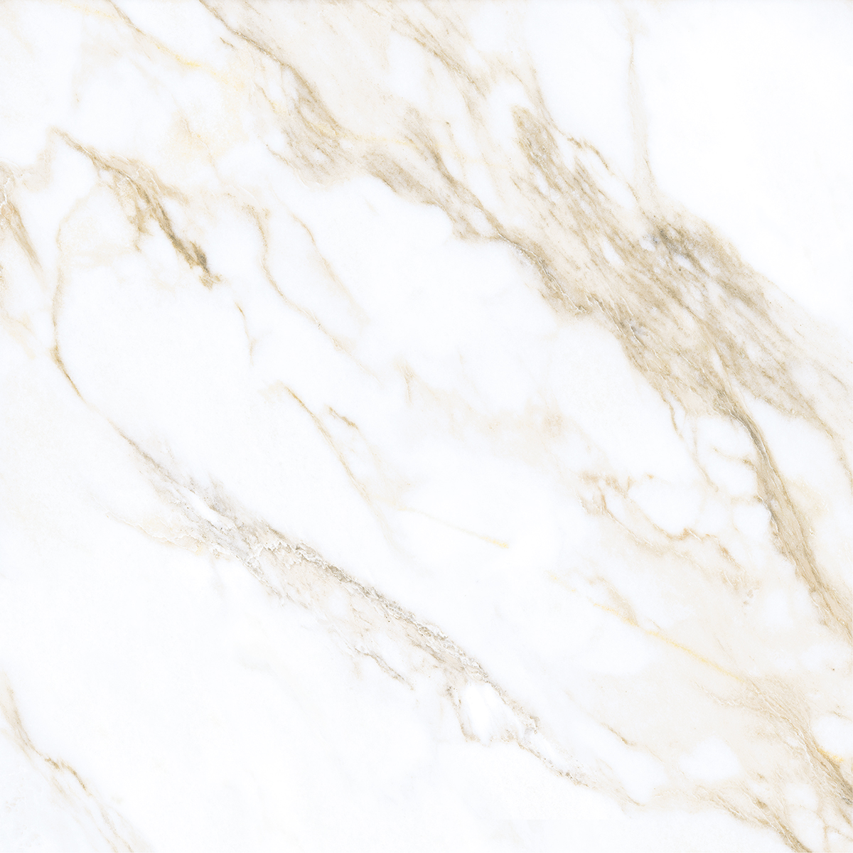 LIVIDE GOLD