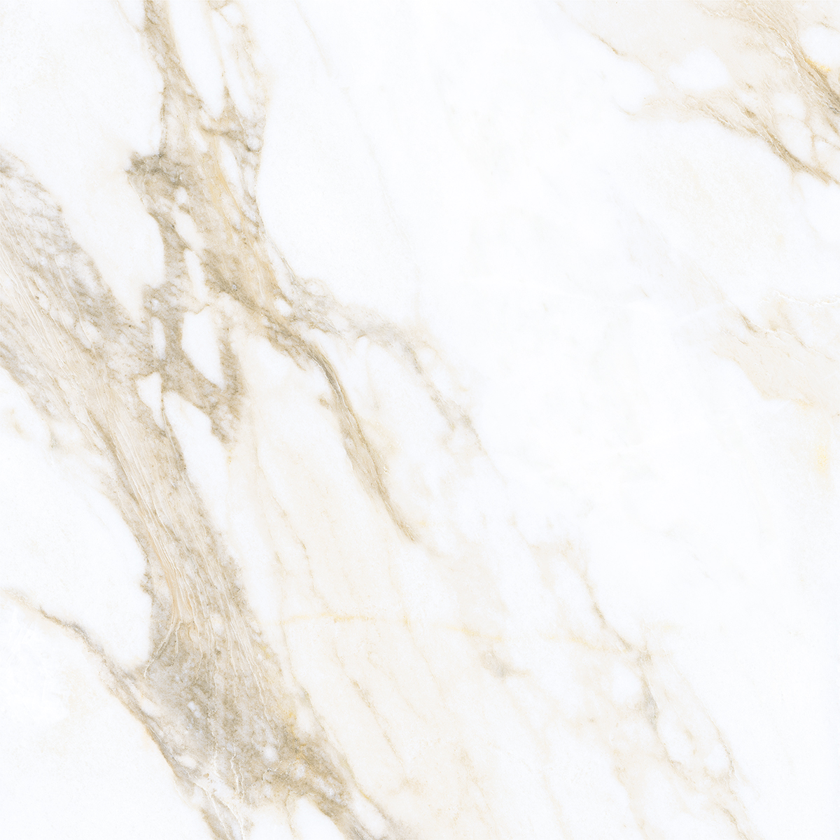 LIVIDE GOLD