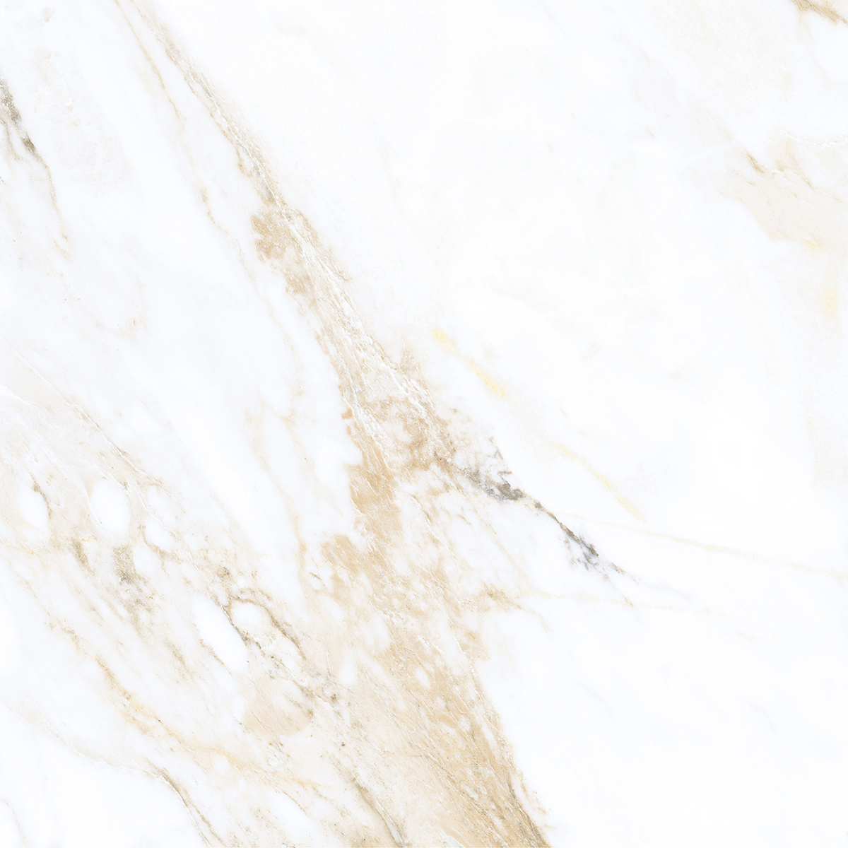 LIVIDE GOLD