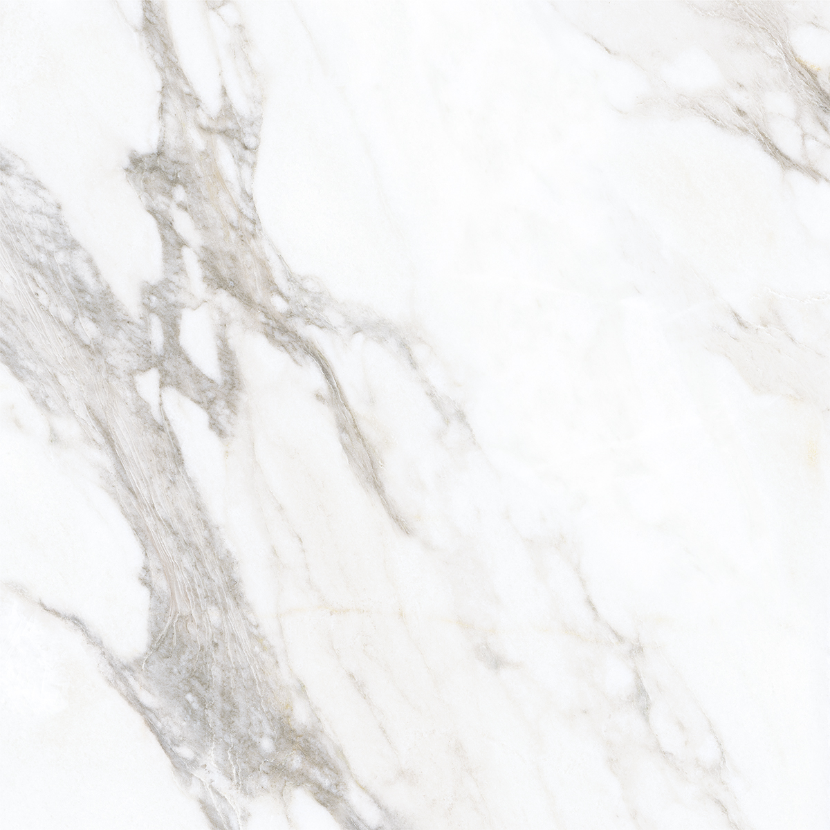 LIVIDE WHITE
