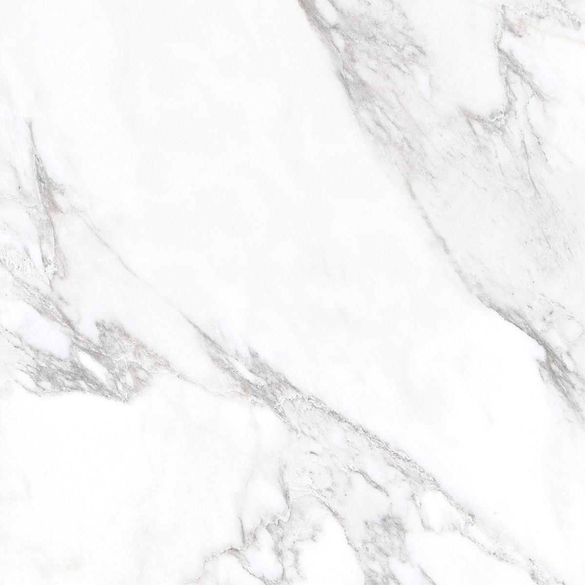 LIVIDE WHITE