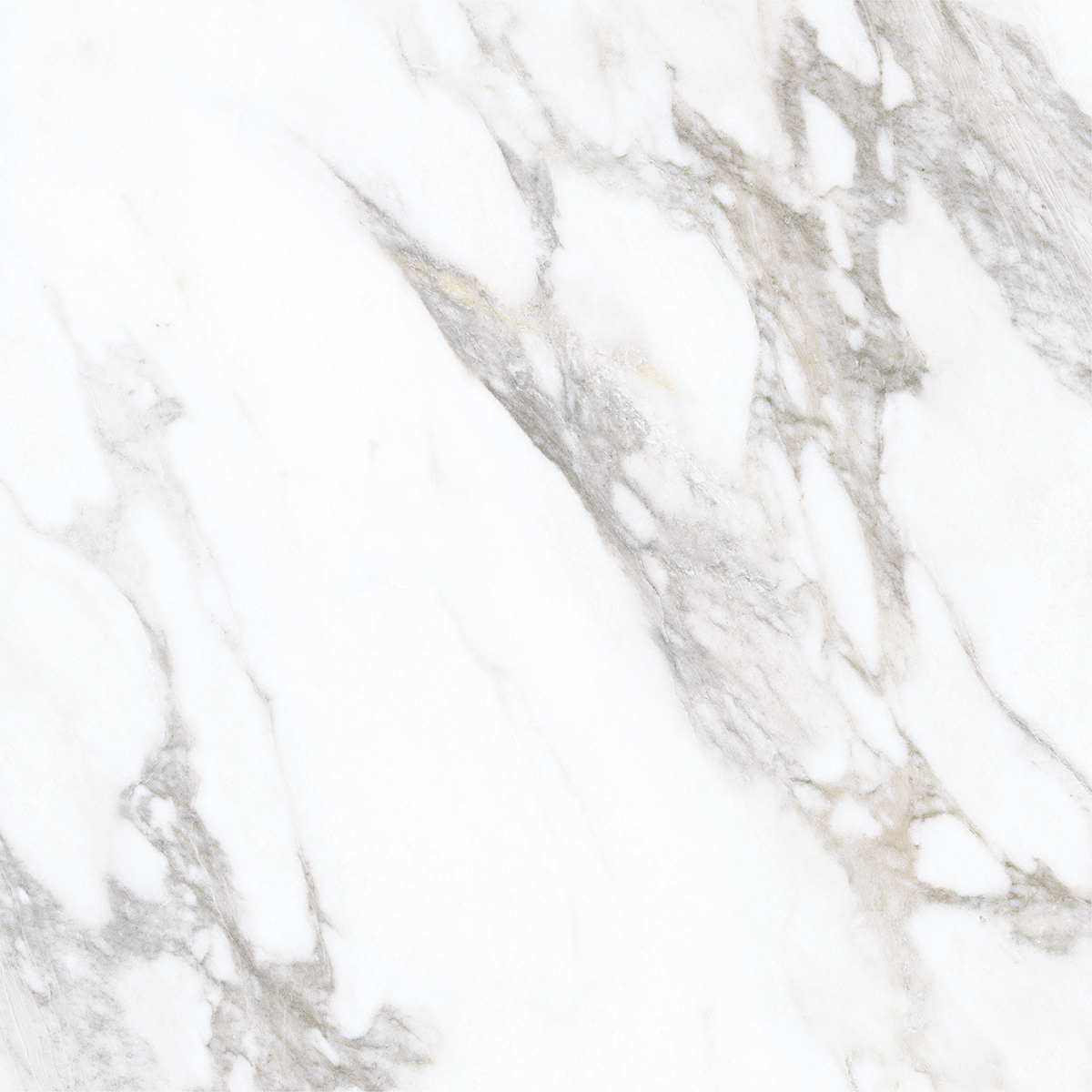 LIVIDE WHITE