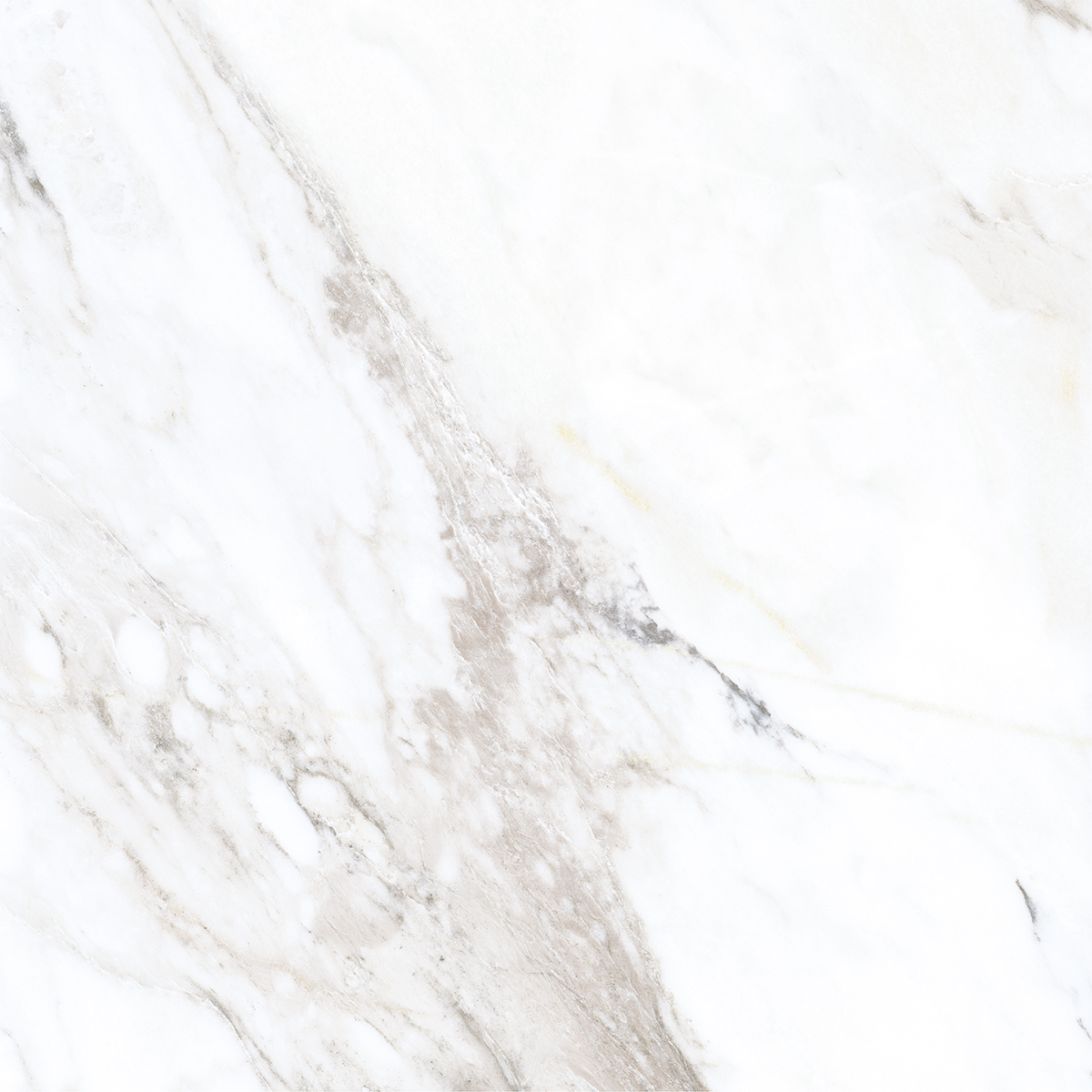 LIVIDE WHITE