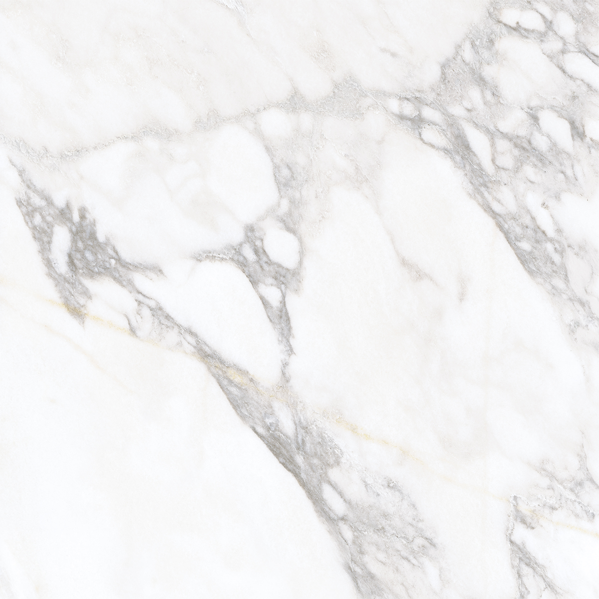 LIVIDE WHITE