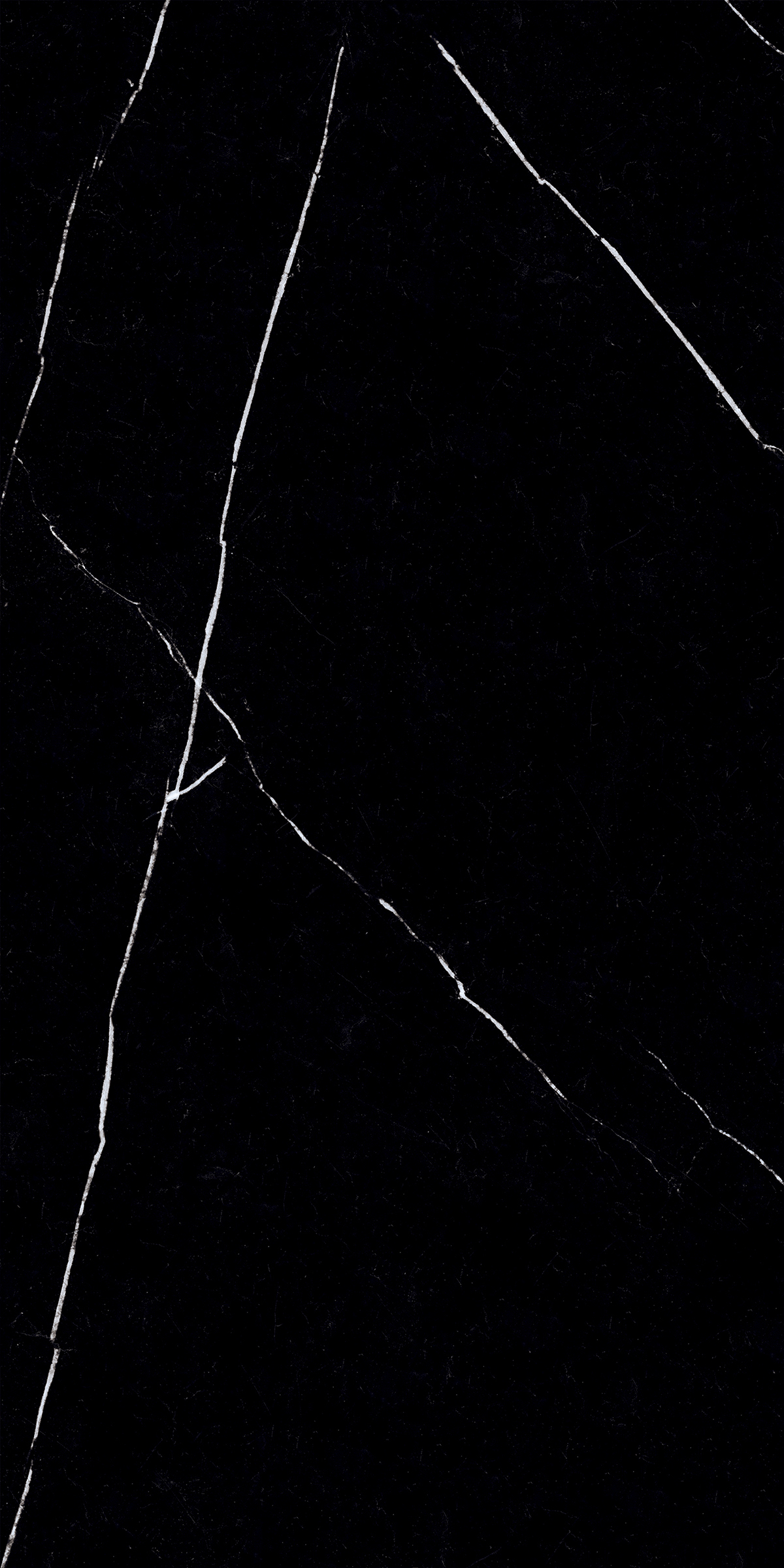 NERO MARQUINA