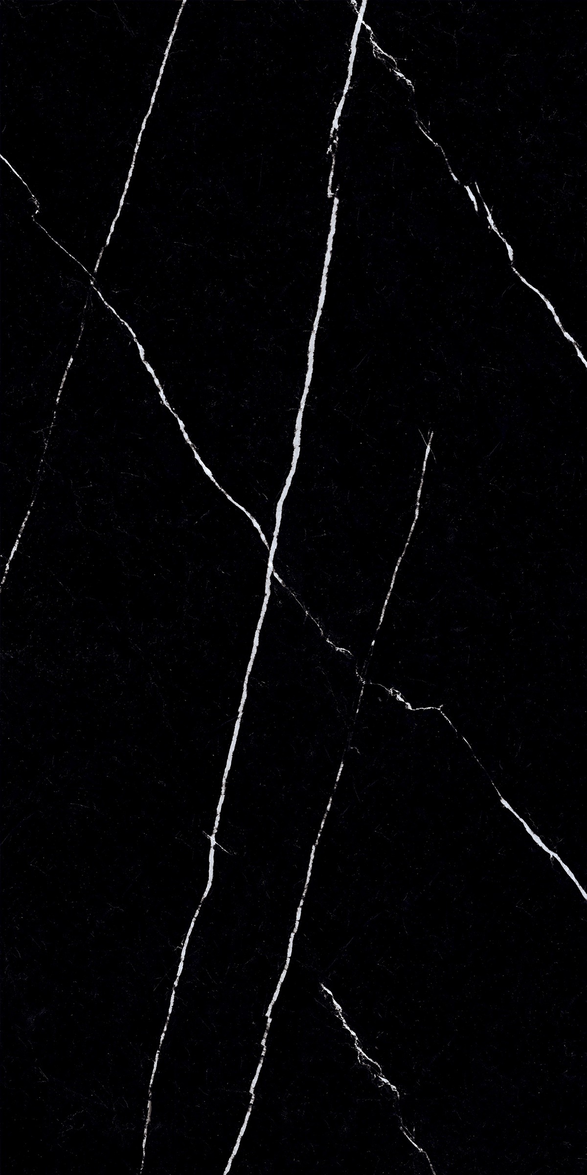 NERO MARQUINA