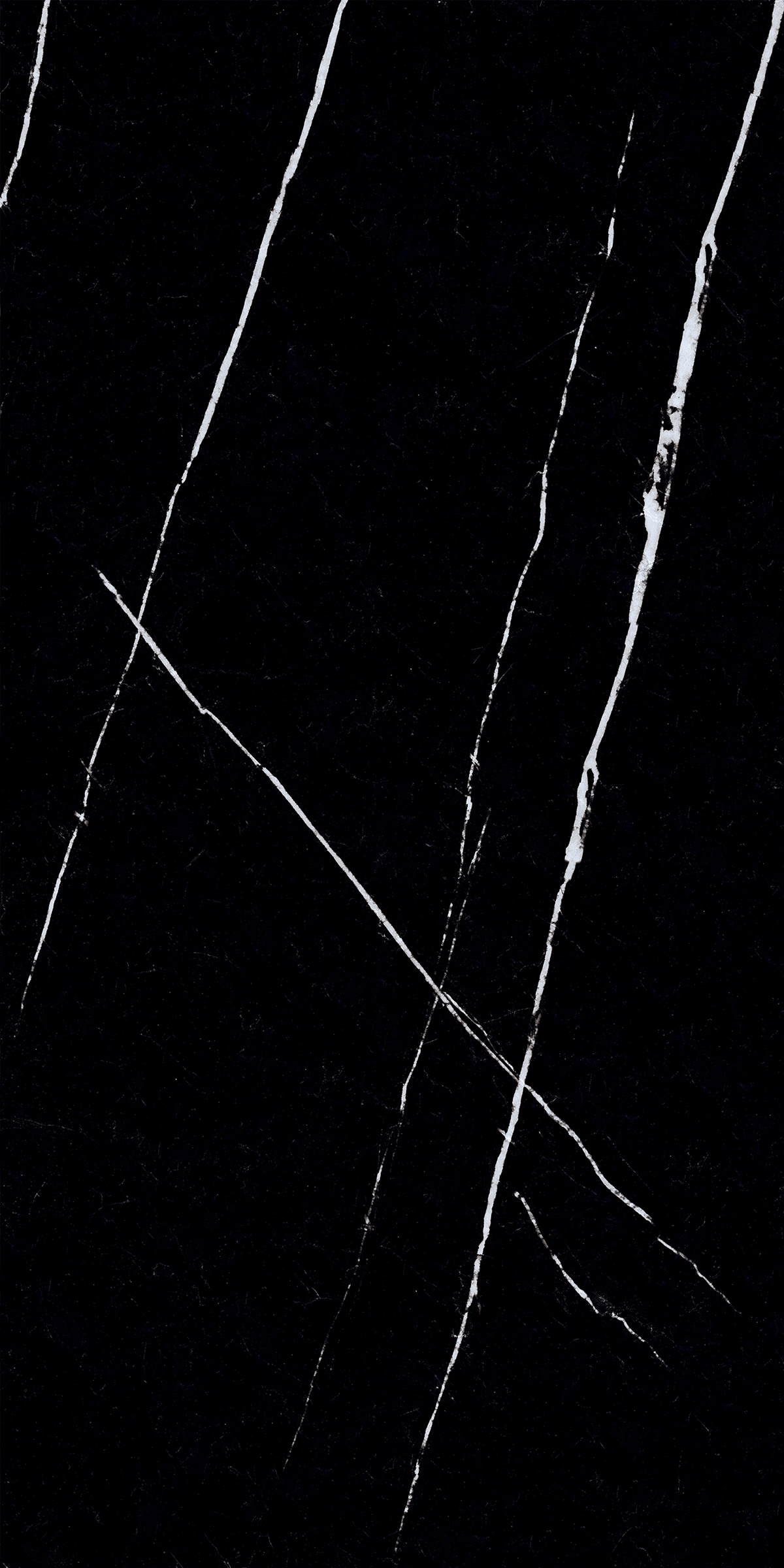 NERO MARQUINA