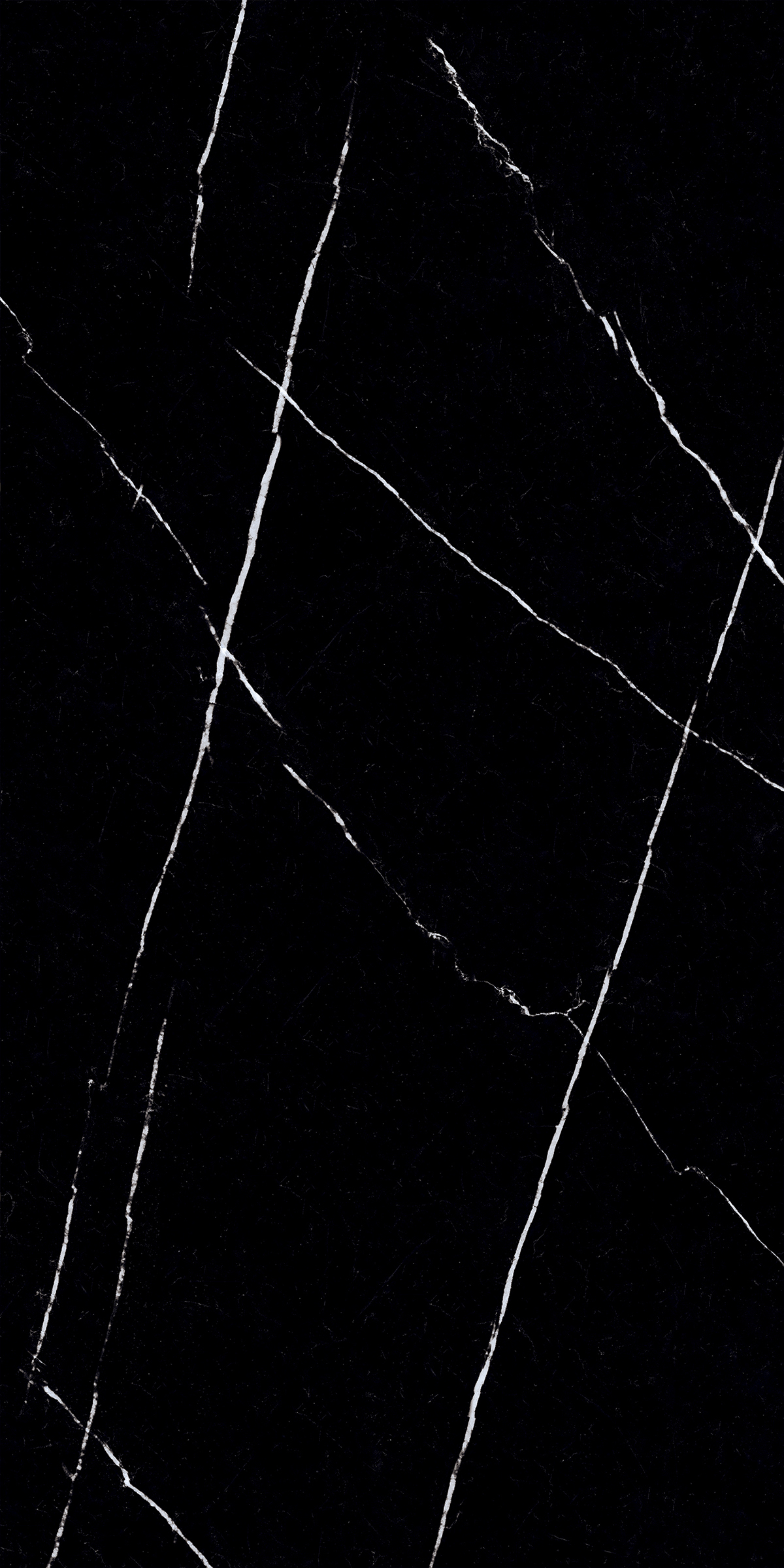 NERO MARQUINA