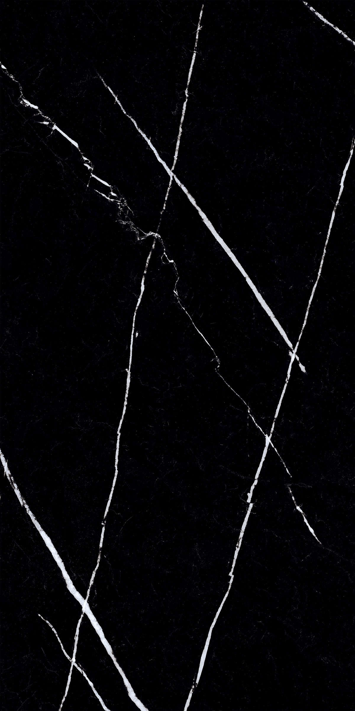 NERO MARQUINA