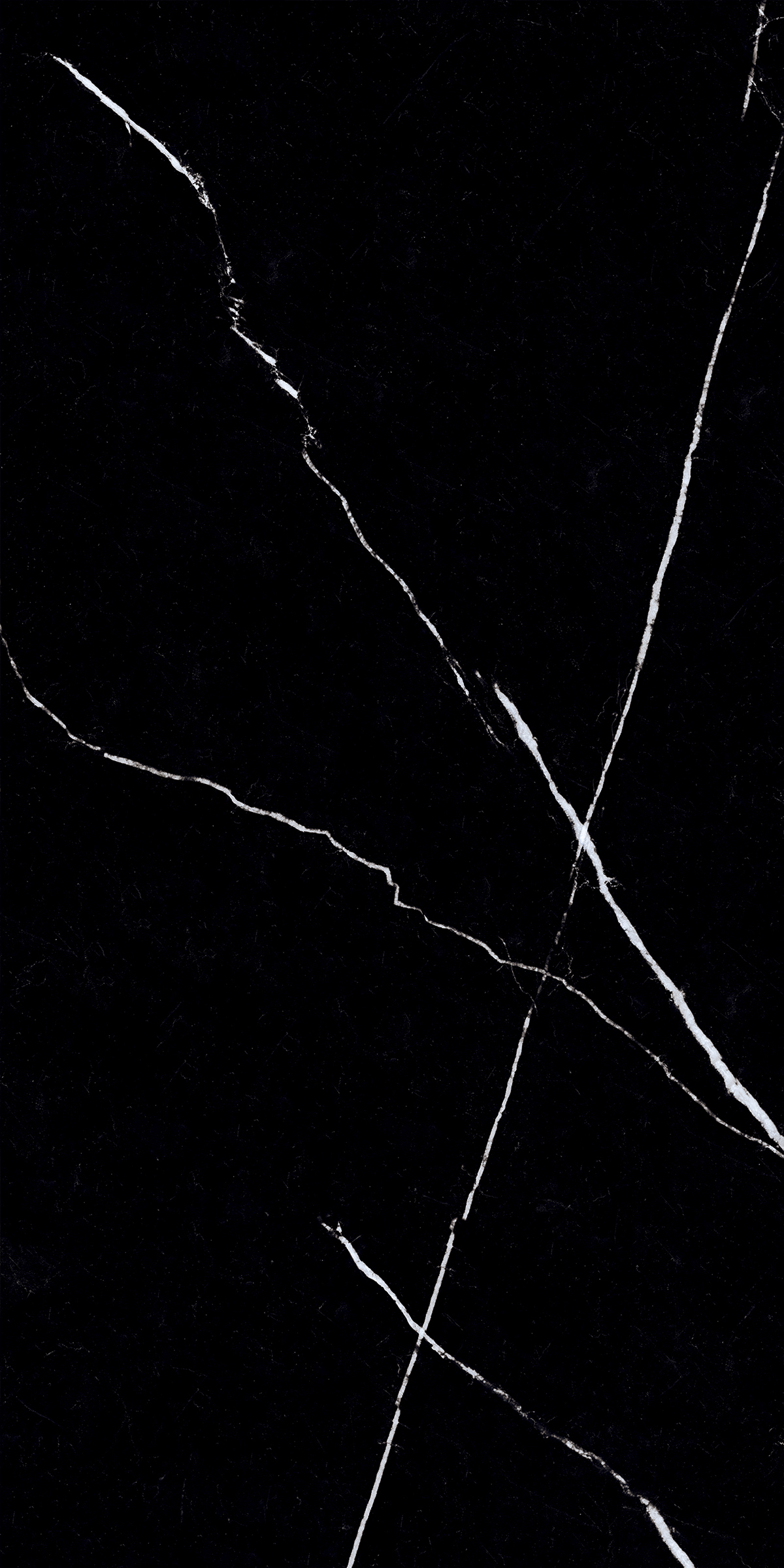 NERO MARQUINA