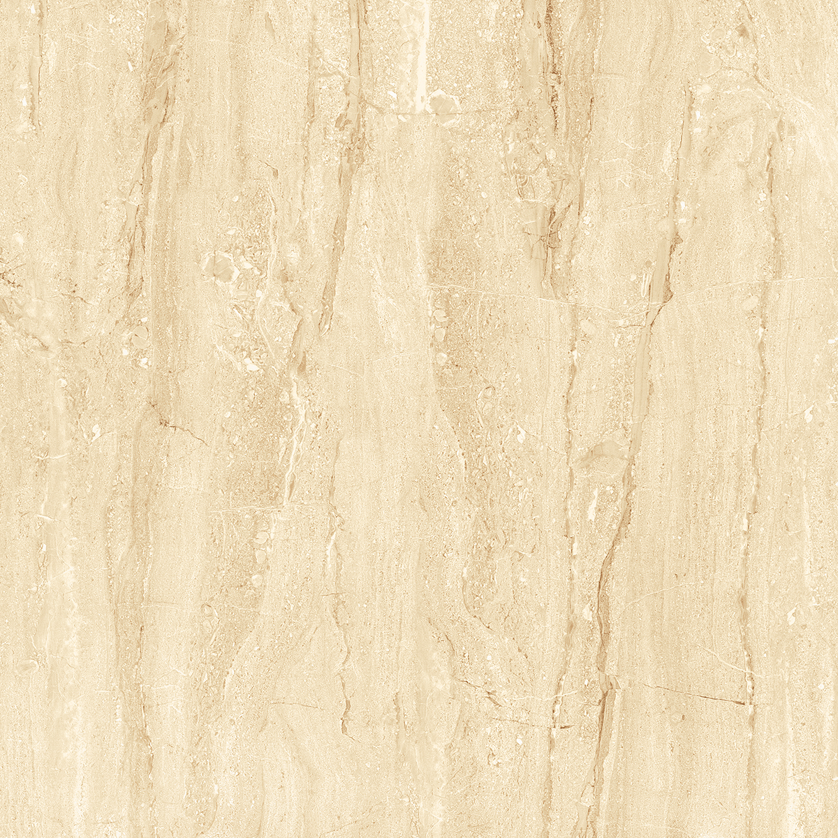 NIKOLA BEIGE