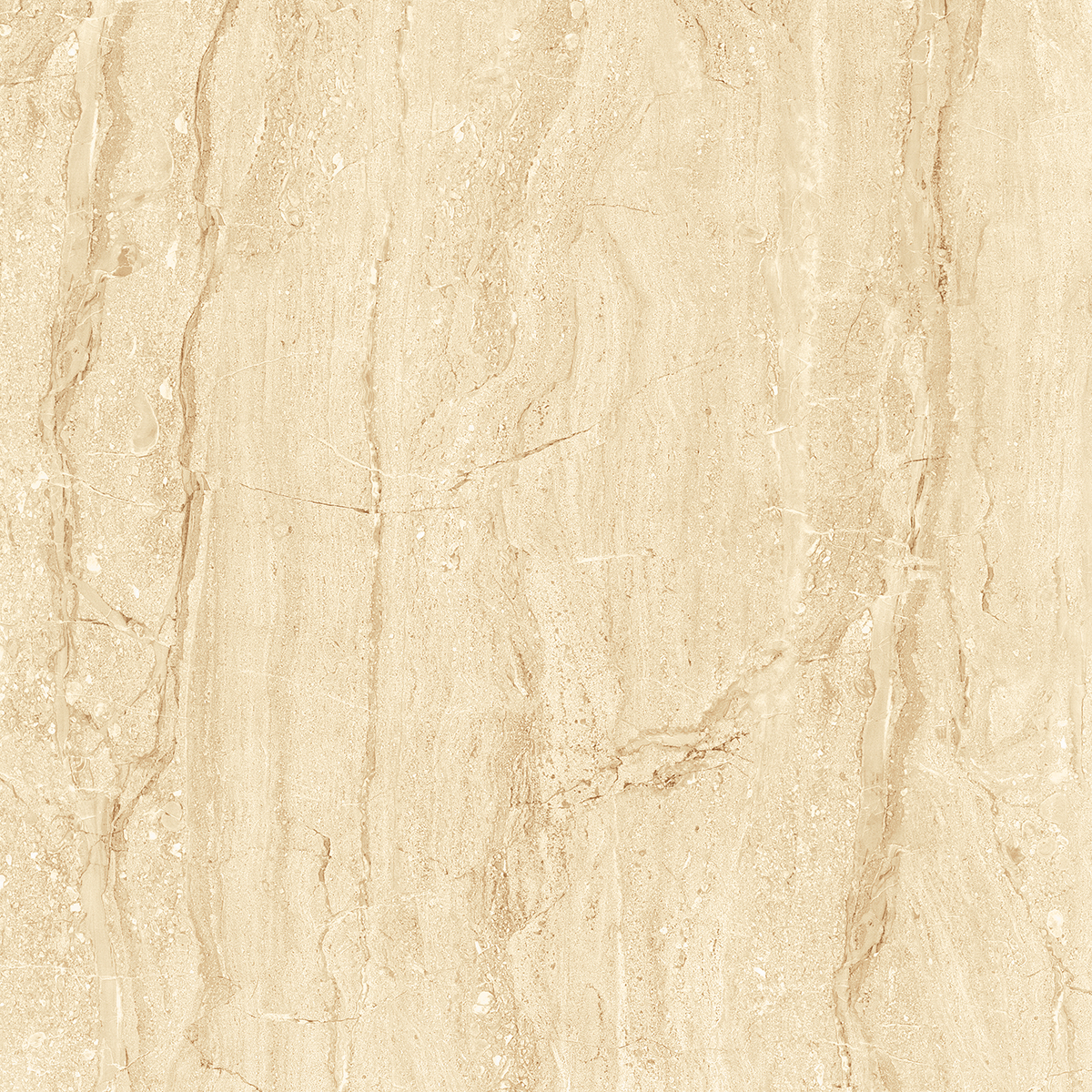 NIKOLA BEIGE