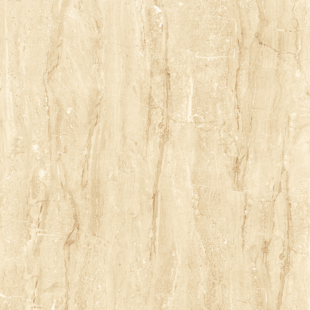 NIKOLA BEIGE