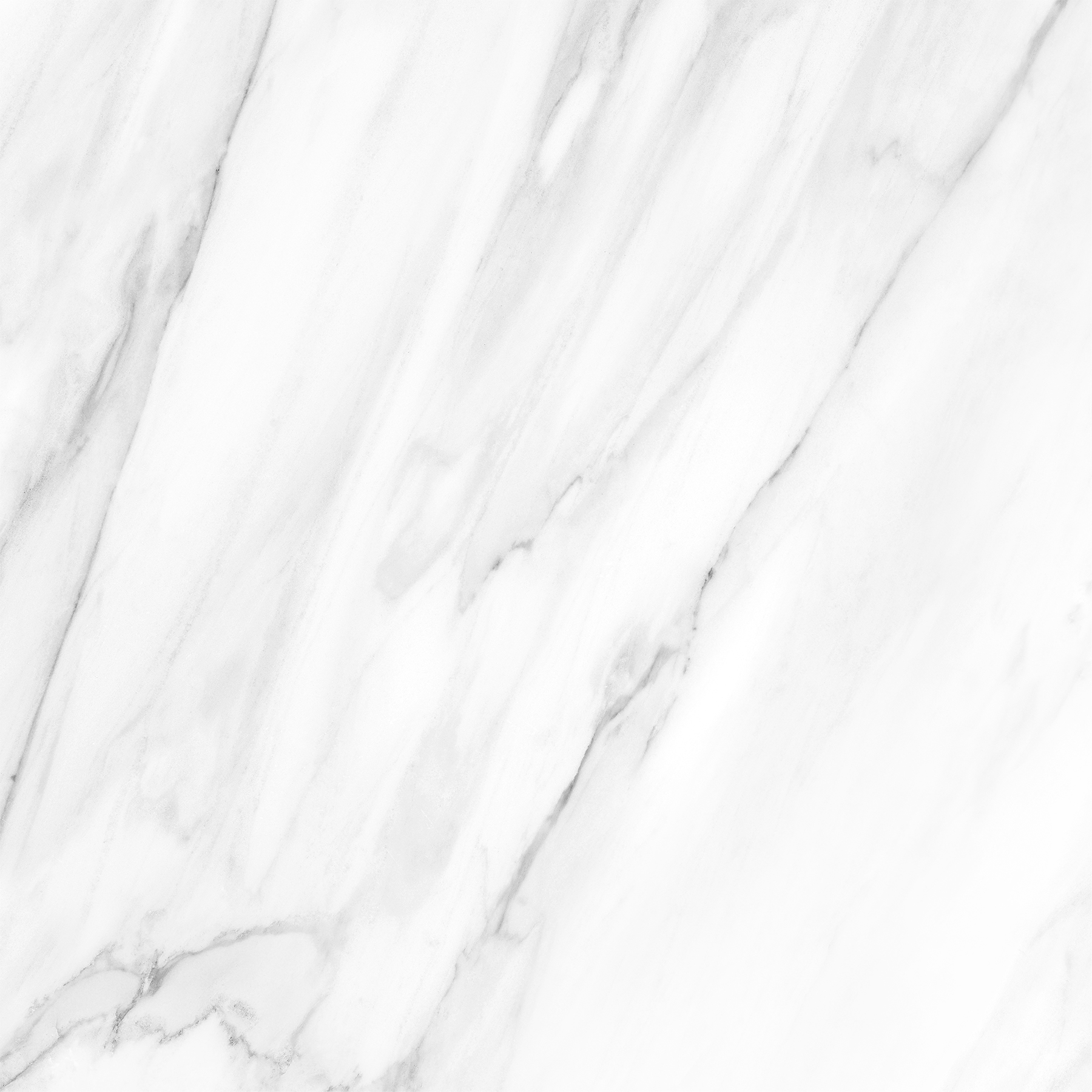 NOVELTY WHITE