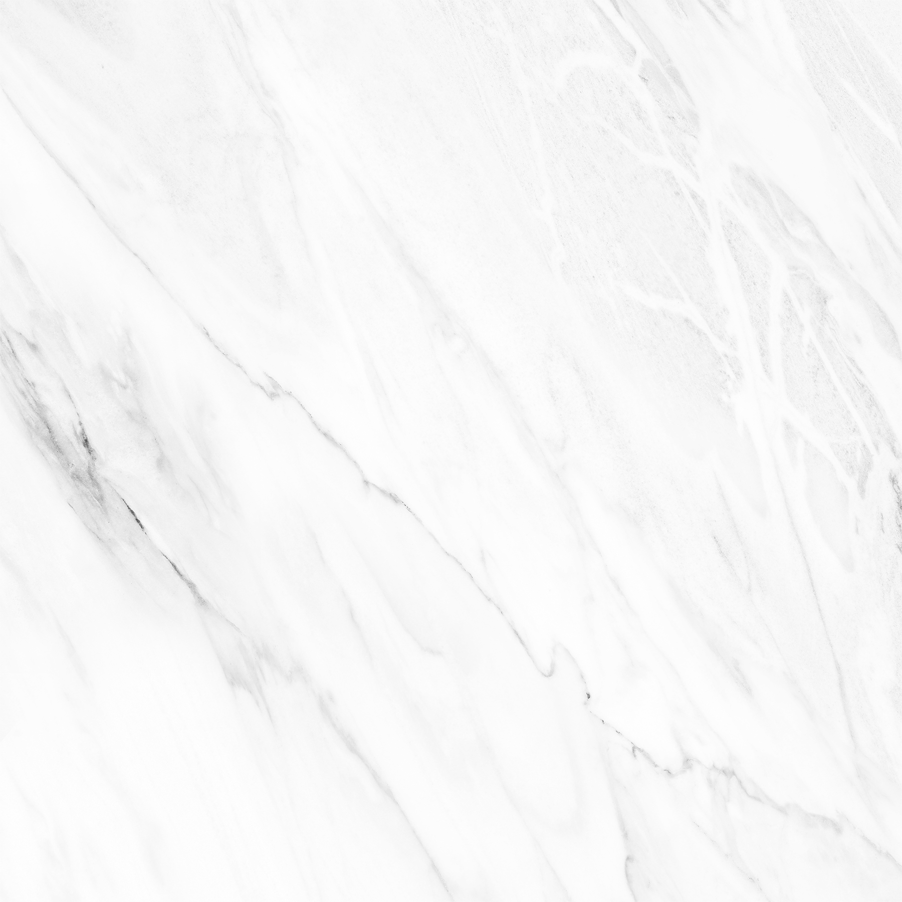 NOVELTY WHITE