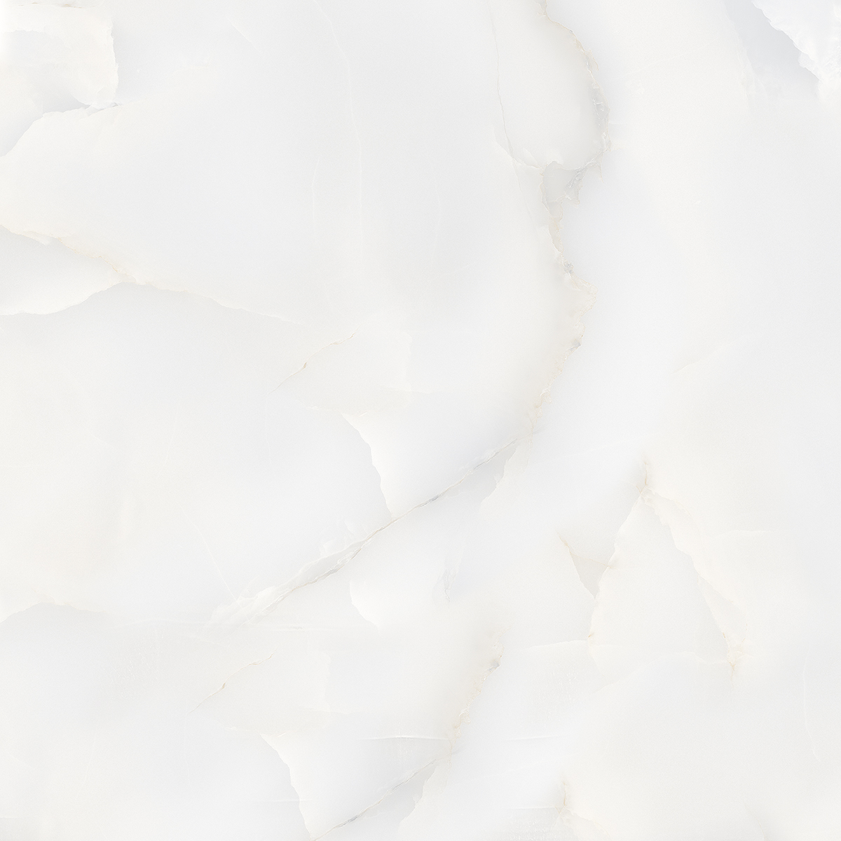 ONICE WHITE