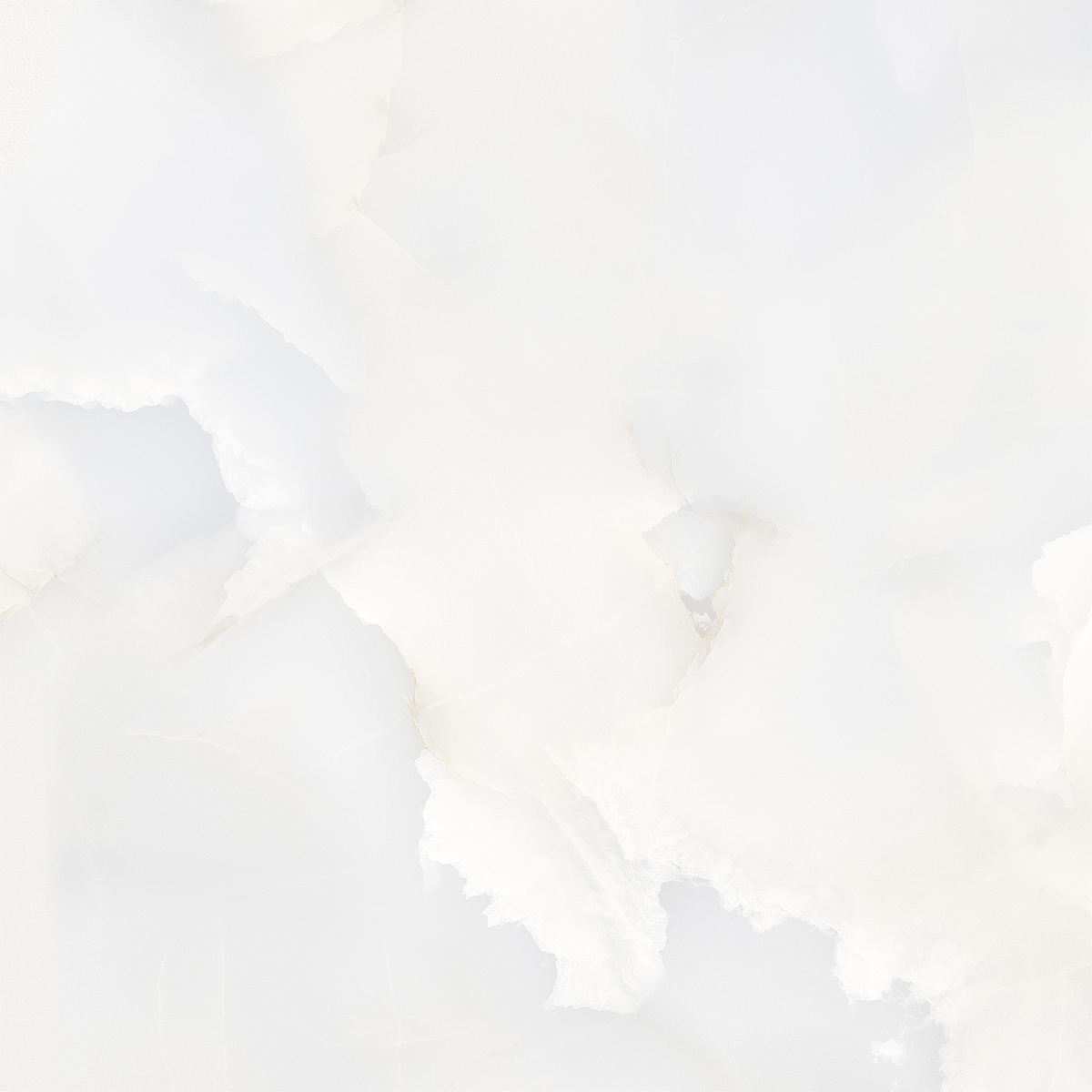 ONICE WHITE