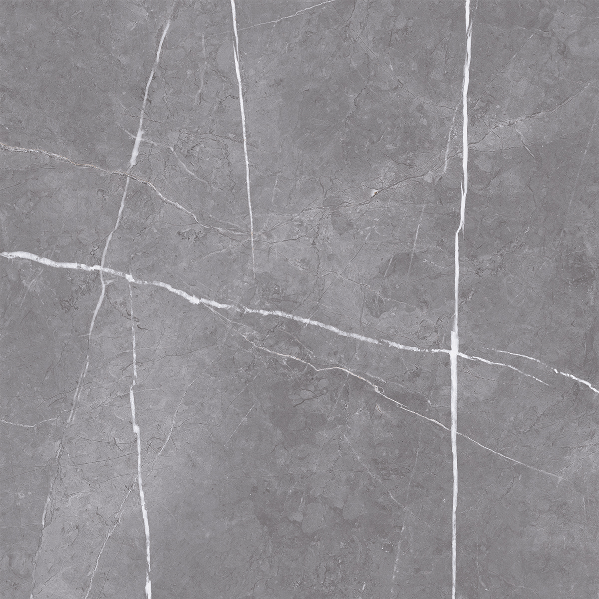 PARADISE GREY