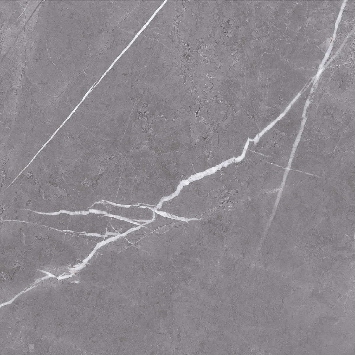PARADISE GREY