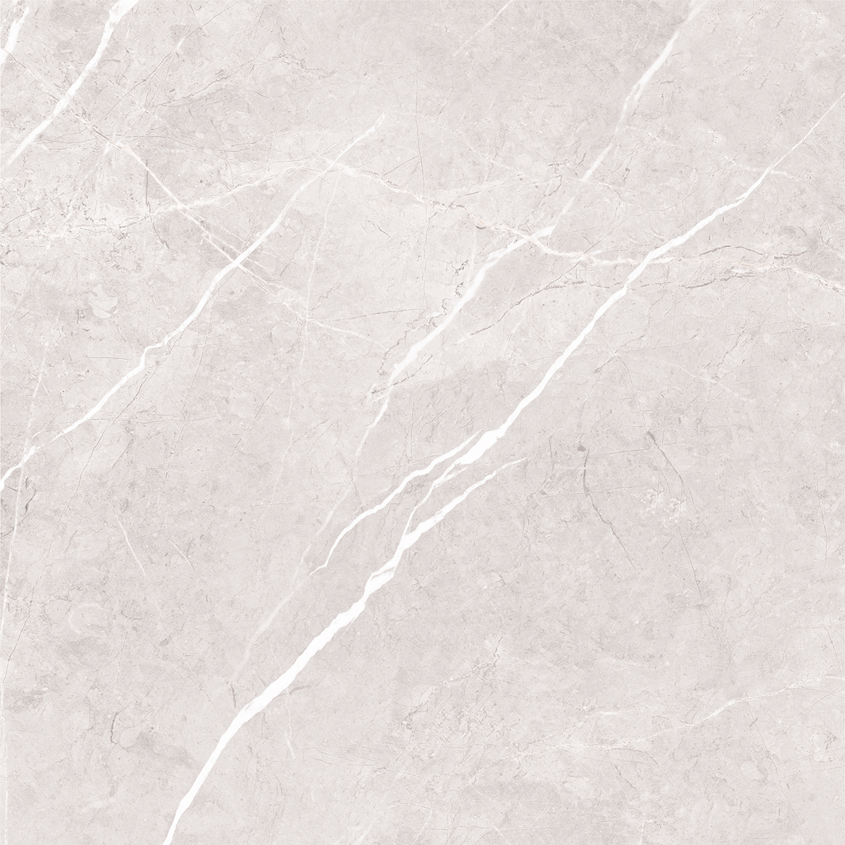 PARADISE WHITE