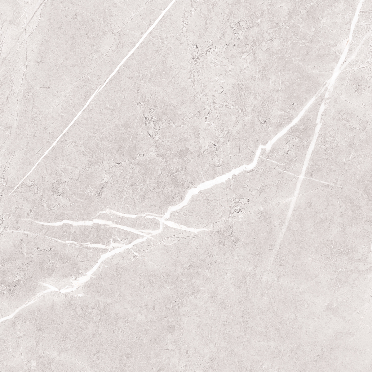 PARADISE WHITE